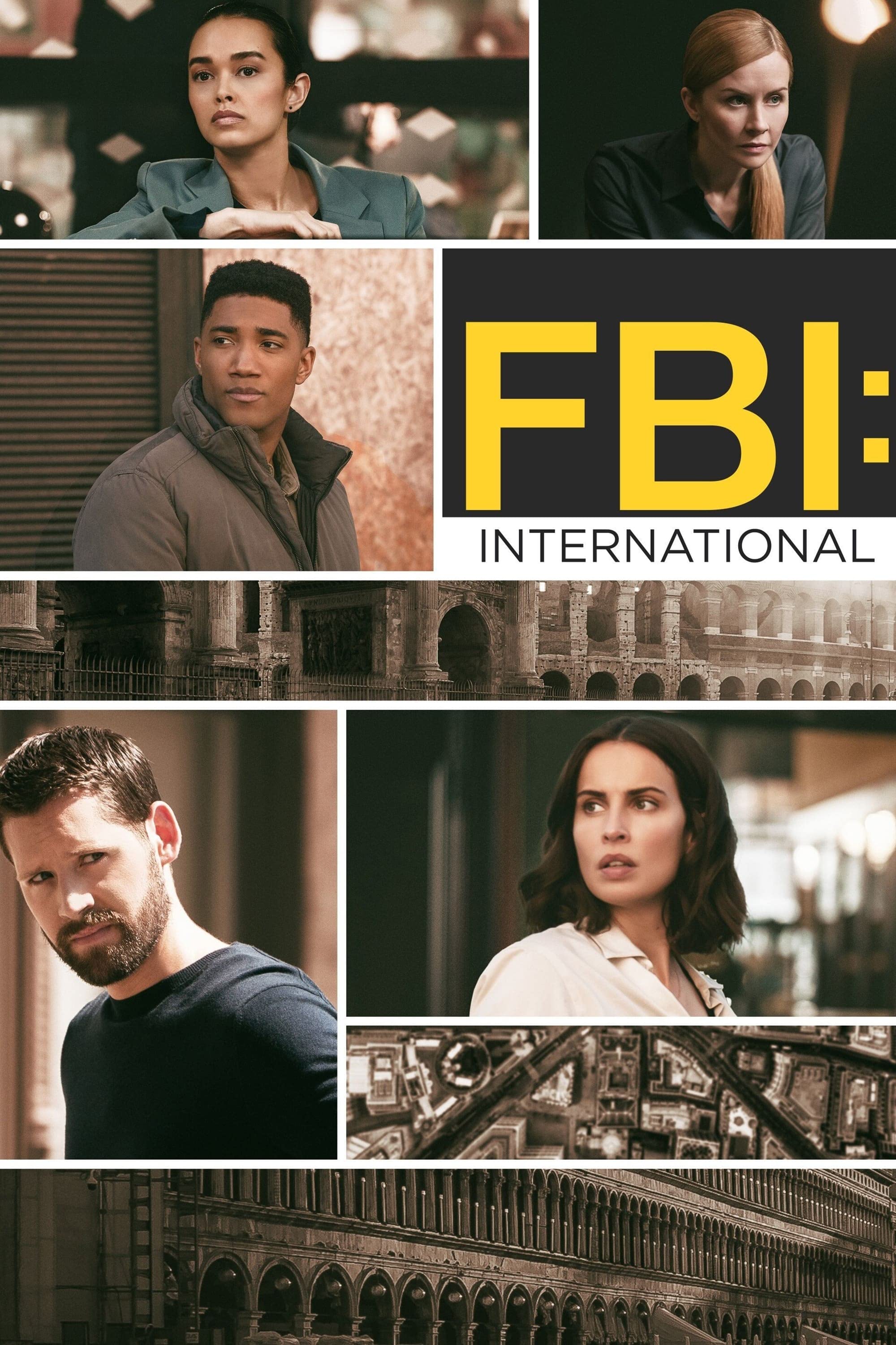 (image for) FBI: INTERNATIONAL - Season 1 - Click Image to Close